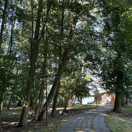 Paradiesufer Am Milmersdorf