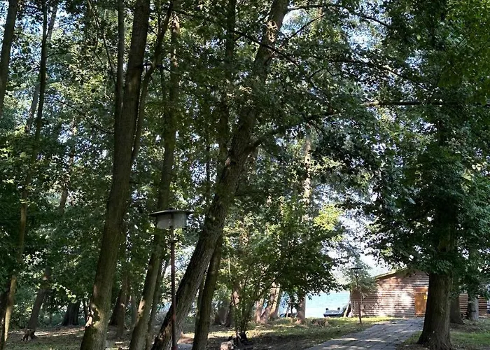 Paradiesufer Am Milmersdorf